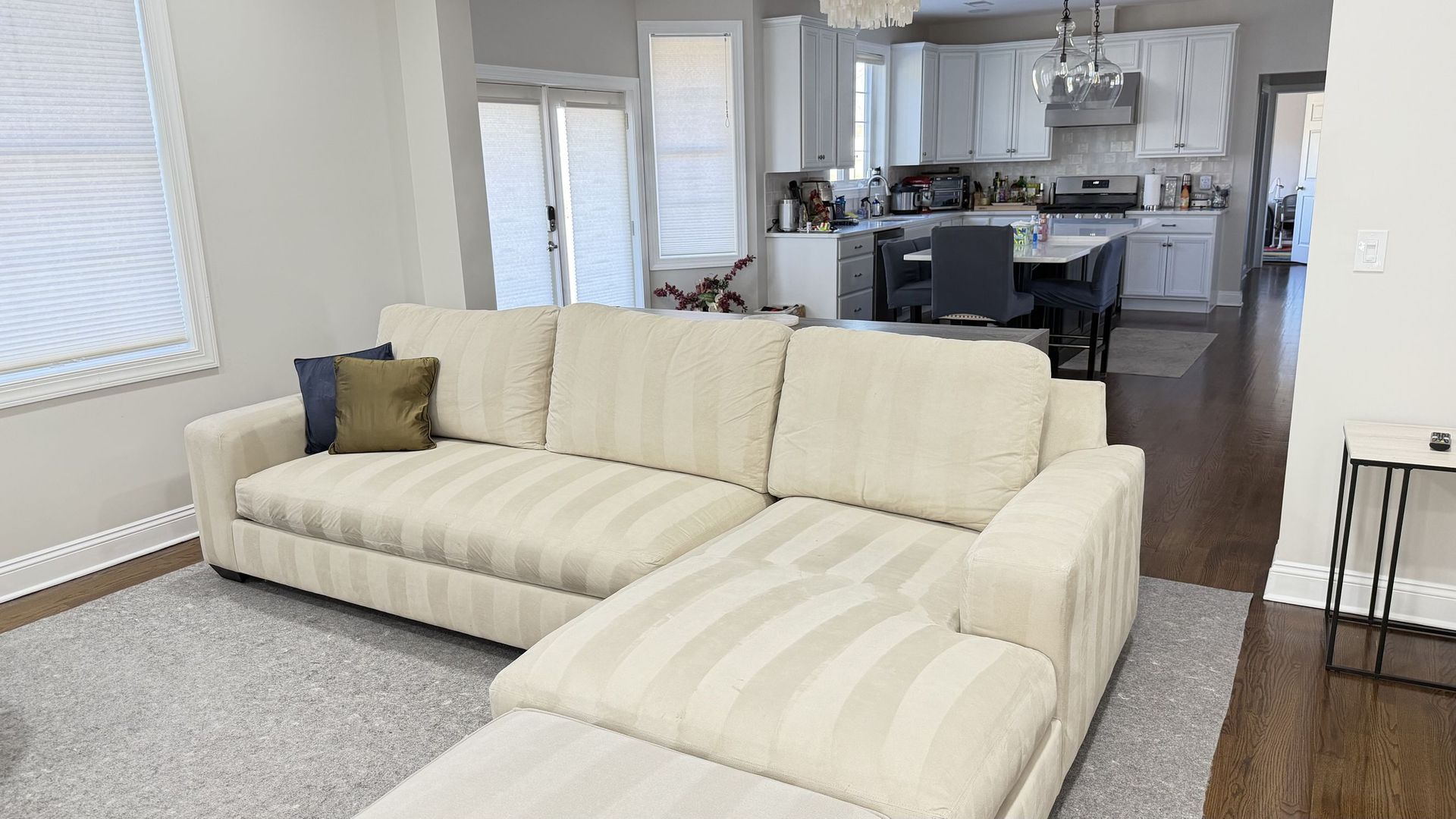 Cleansylvania gallery photo